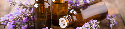 Lavendelöl: Wirkung, Anwendung & Sicherheit aus pharmazeutischer Sicht